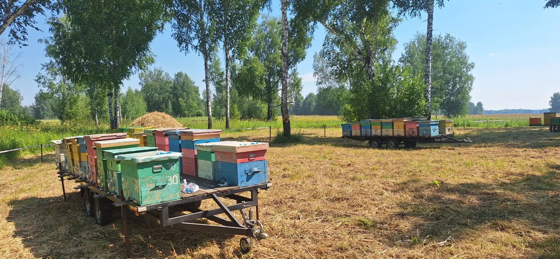 Кочевая пасека в поле