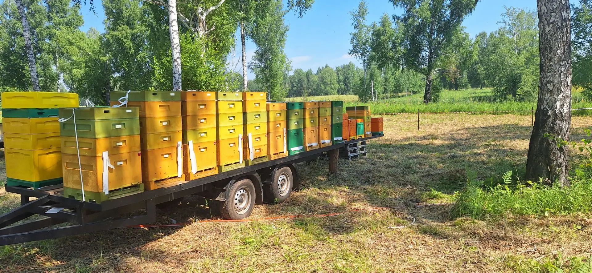 Мобильная пасека на прицепе